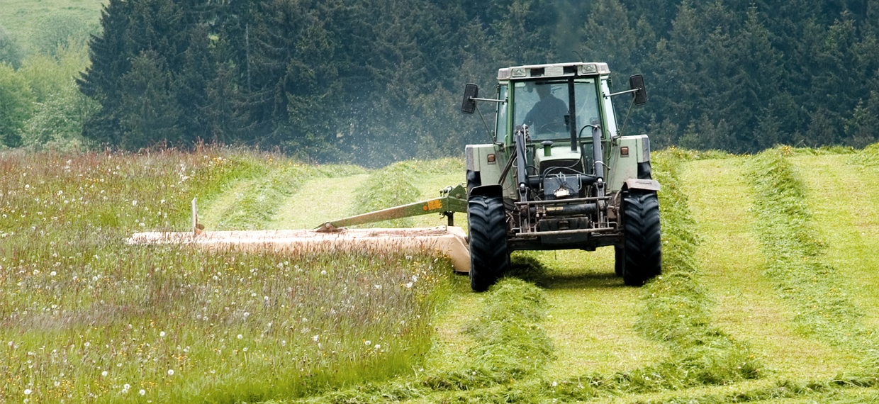Kỹ thuật sấy cỏ khô hiện đại và những ưu điểm của nó